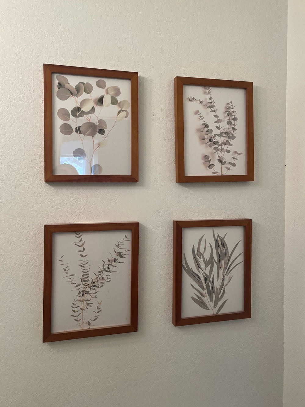 4 Botanical Prints in 11x14 Medium Wood Frames